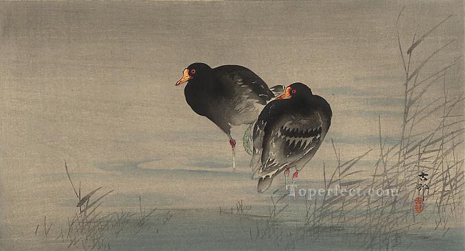 two gallinules in shallow water Ohara Koson Shin hanga Oil Paintings